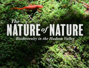 The Nature of Nature: Biodiversity in the Hudson Valley